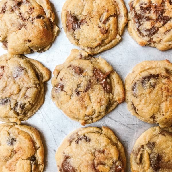 Classic Choco Chip Cookie